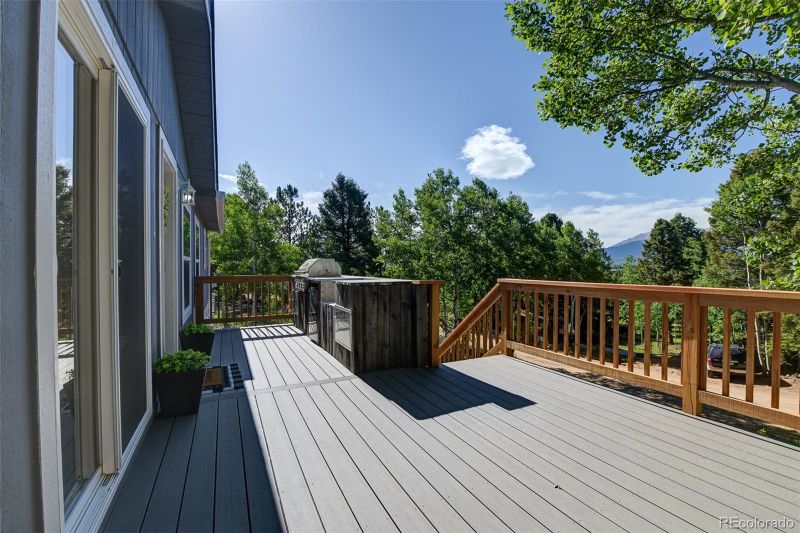 451 Fern Rd, Woodland Park, CO 80863