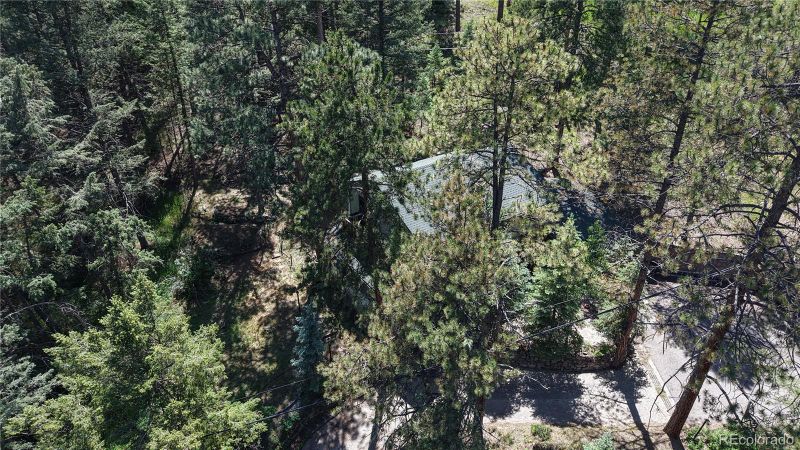 30094 Upper Bear Creek Rd, Evergreen, CO 80439