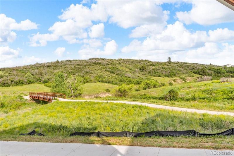 4418 Soapberry Pl, Castle Rock, CO 80108