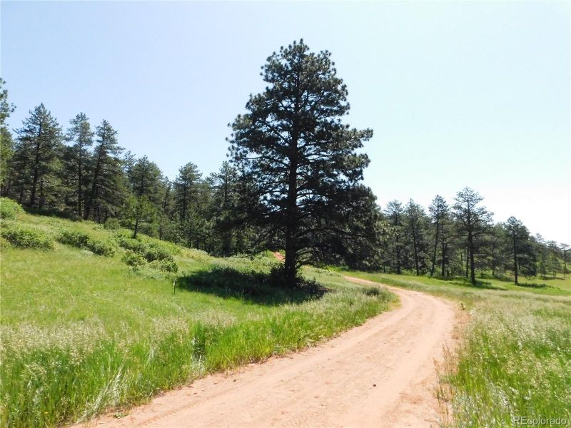 8208 Bannock Dr, Larkspur, CO 80118