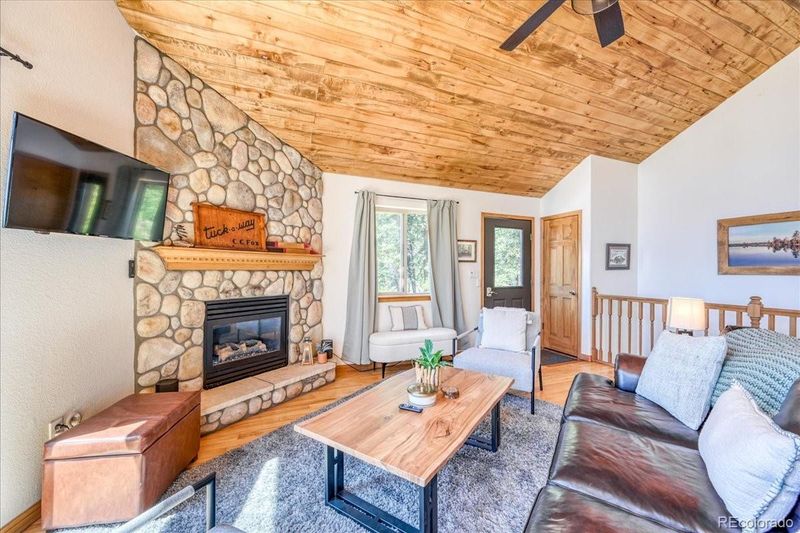 1387 Bobcat Ln, Fairplay, CO 80440