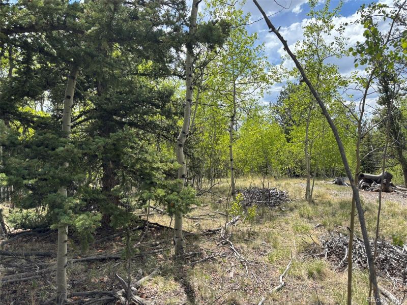514 Chief Trl, Como, CO 80432