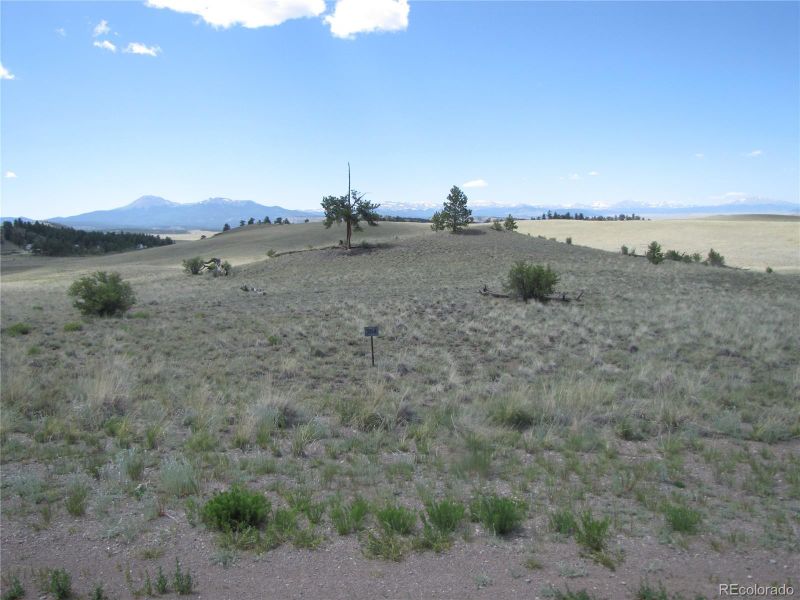 499 Saddle Horn Rd, Hartsel, CO 80449