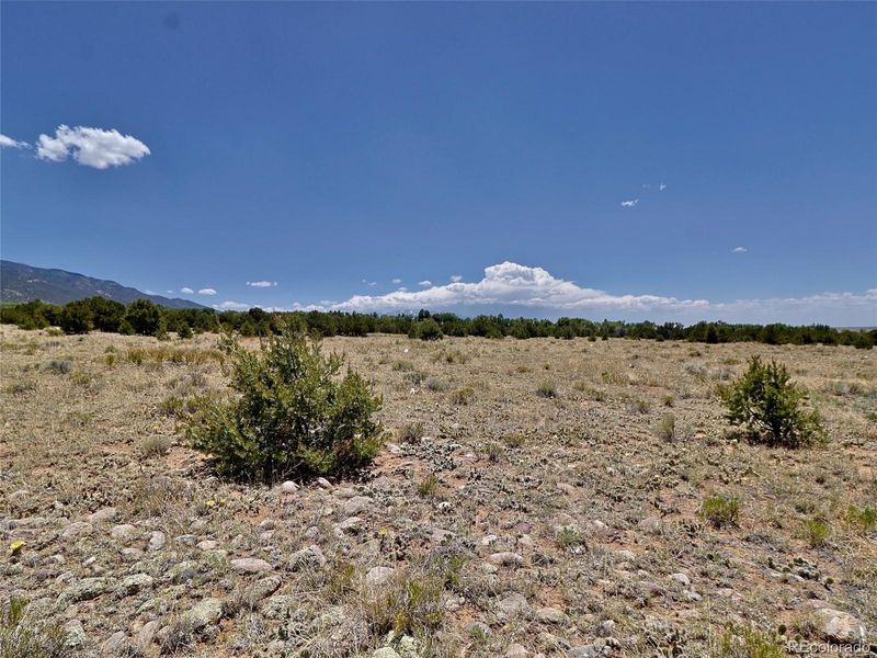 173 Gold Rush Trl, Crestone, CO 81131