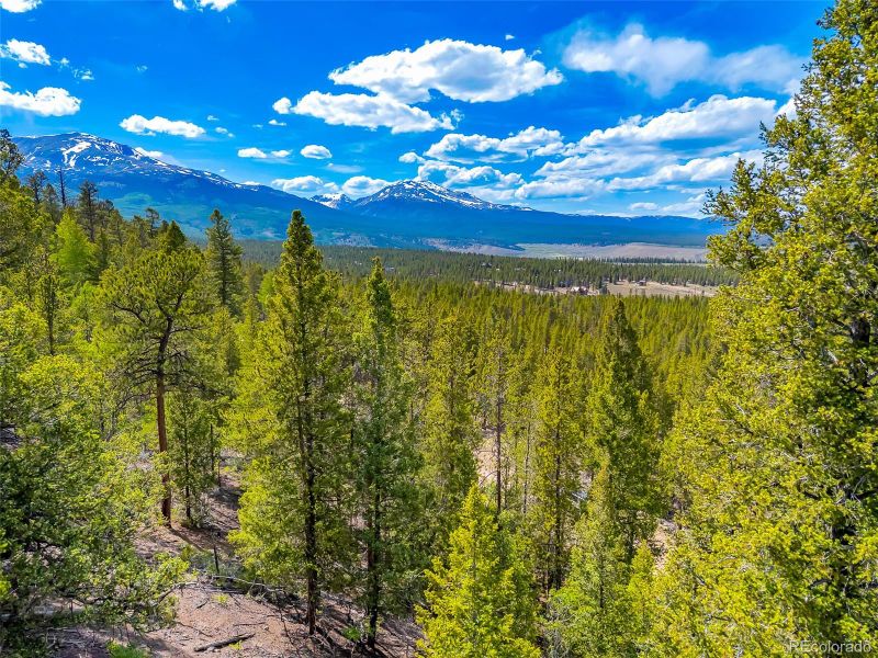 198 Mt Elbert Rd Lot 115, Twin Lakes, CO 81251