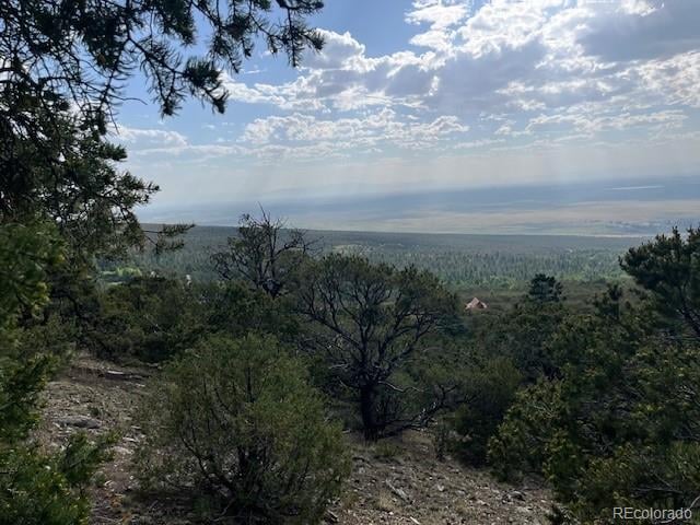 314 Arrastre Rd, Mosca, CO 81146