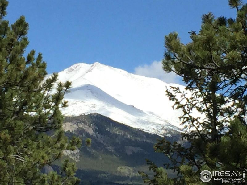 84 County Road 113 S, Allenspark, CO 80510