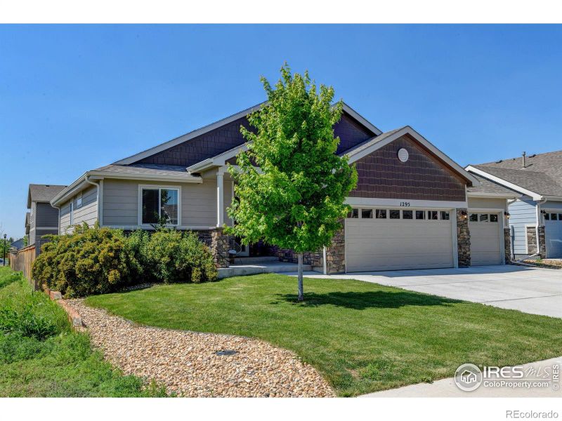 1295 Wild Basin Rd, Severance, CO 80550