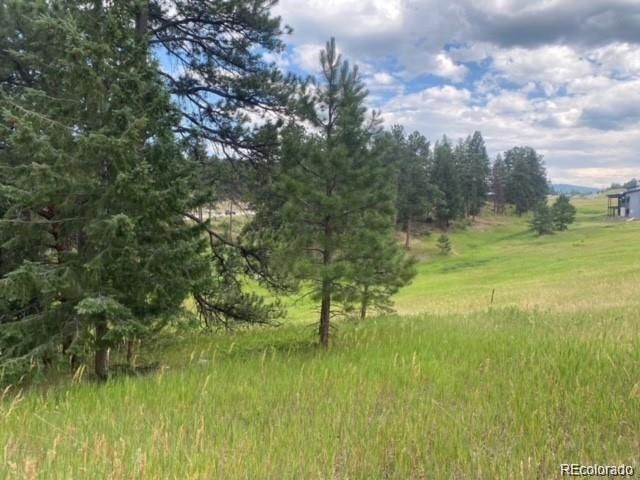 8036 Settlers Dr, Morrison, CO 80456