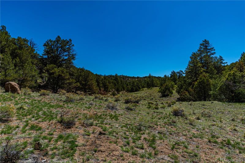 TR-16 White Wing Way, Cotopaxi, CO 81223