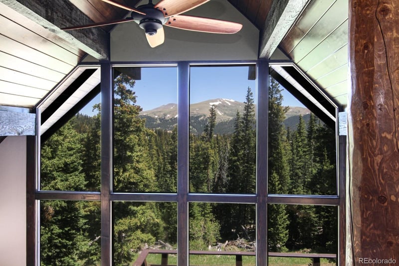135 Nugget Ln, Alma, CO 80420