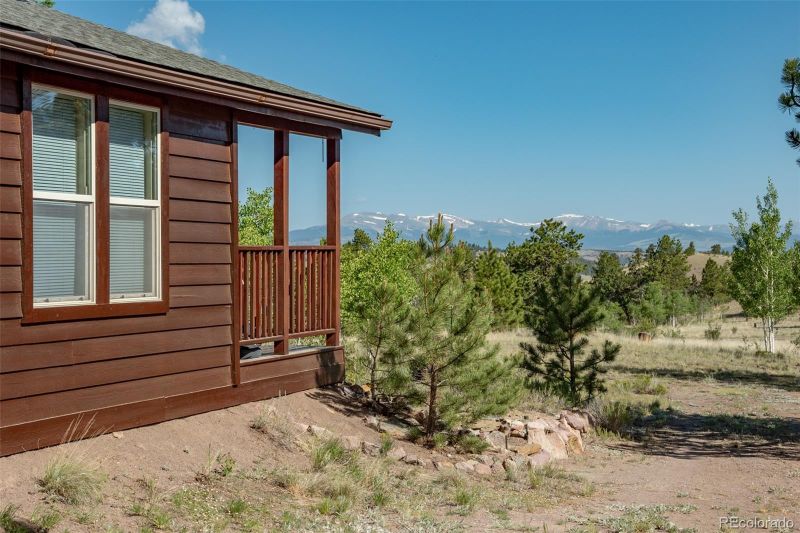 91 Canteen Way, Hartsel, CO 80449