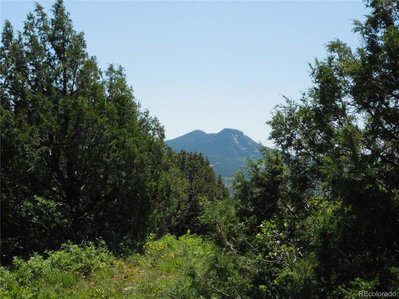 5900 Pawnee Rd, Larkspur, CO 80118