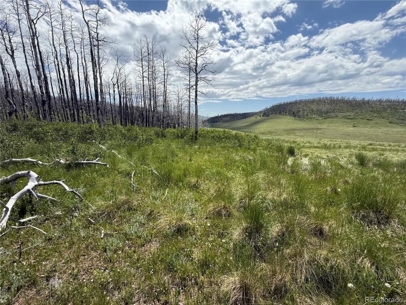 Lot 428 Powers Rd Lot 428, Fort Garland, CO 81133