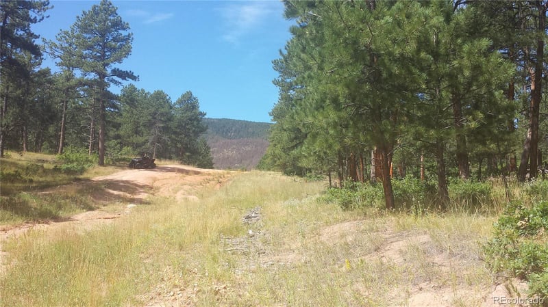 4467 Delaware Dr, Larkspur, CO 80118