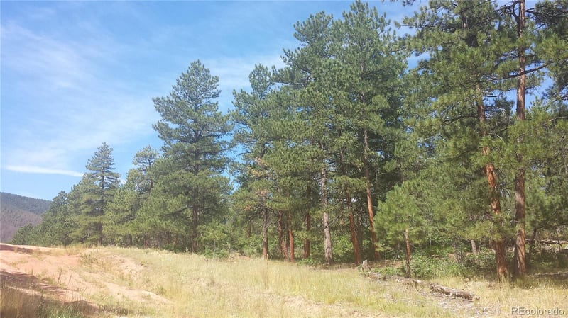 4467 Delaware Dr, Larkspur, CO 80118