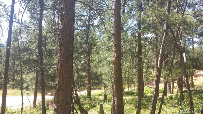 4467 Delaware Dr, Larkspur, CO 80118