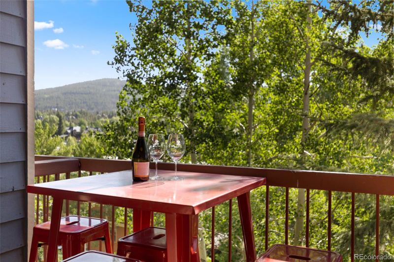 100 S Park Ave #E321, Breckenridge, CO 80424