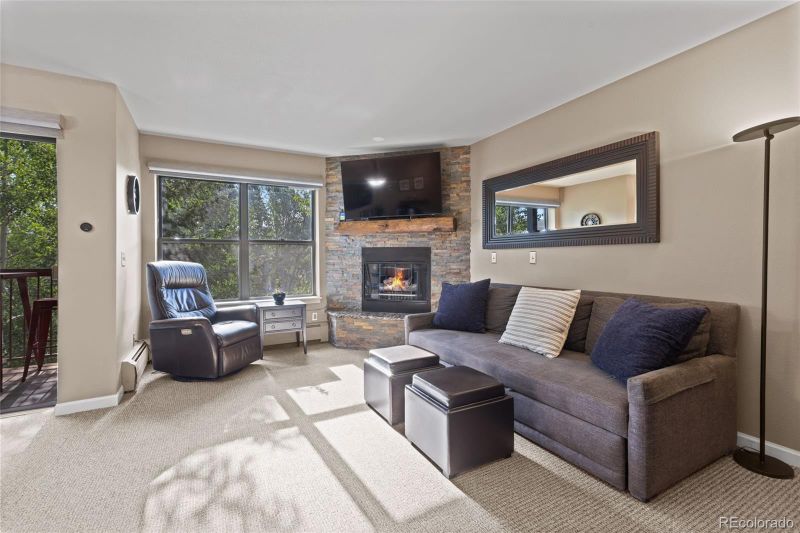 100 S Park Ave #E321, Breckenridge, CO 80424
