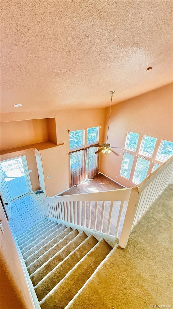 11 Norwich, Pueblo, CO 81003