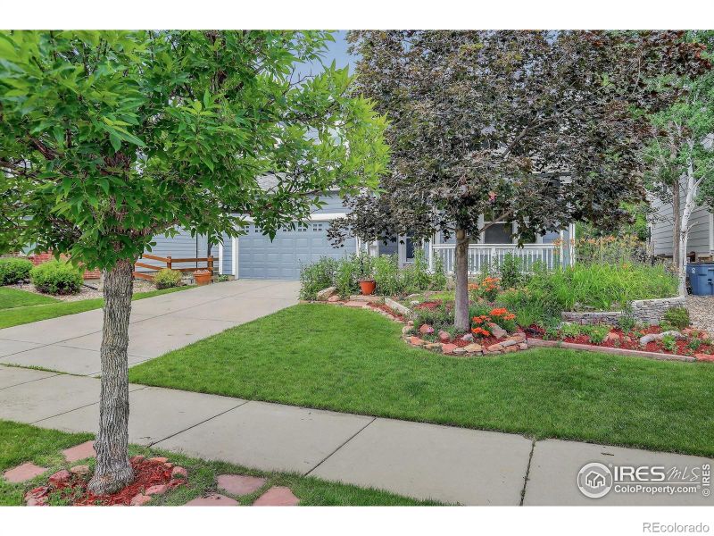 940 Petras St, Erie, CO 80516