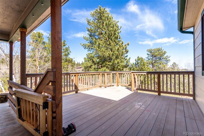 116 Schooley Rd, Bailey, CO 80421