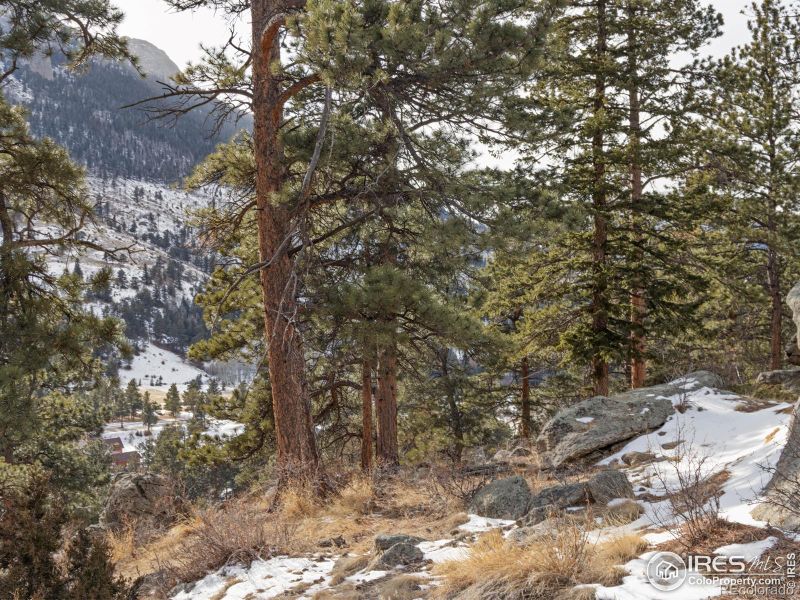 2831 Fall River Rd, Estes Park, CO 80517