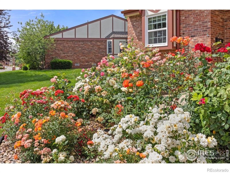 1443 Elmhurst Ct, Longmont, CO 80503