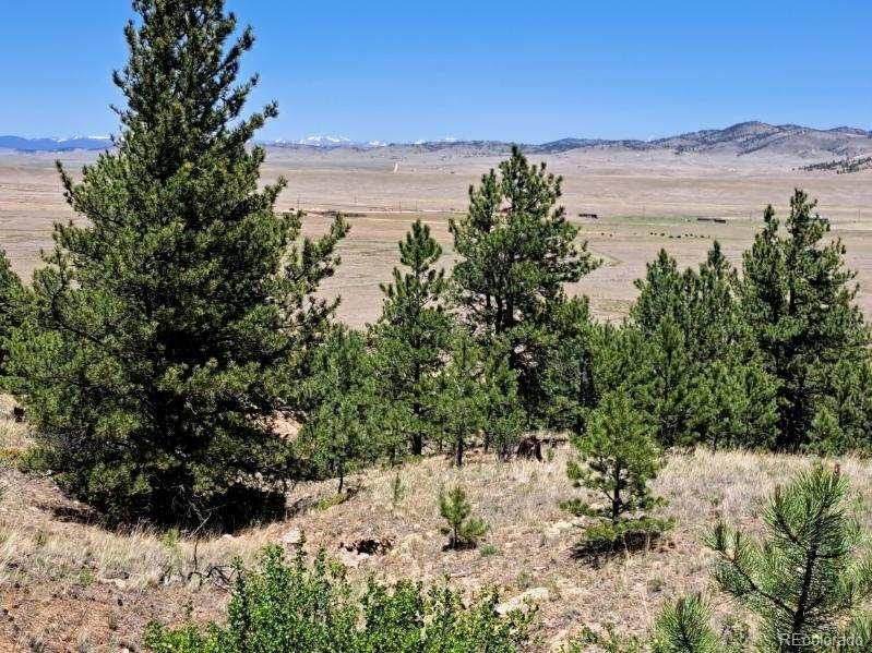 550 Woroka Trl, Hartsel, CO 80449