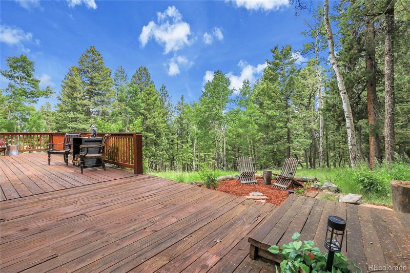 30122 Nancys Ln, Conifer, CO 80433