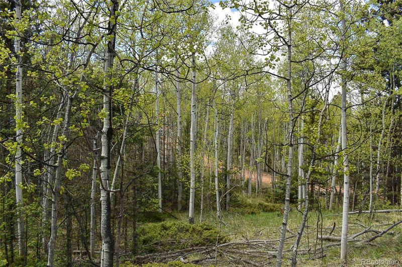 430 Timberline Dr, Guffey, CO 80820