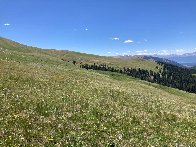 0 La Plata, Leadville, CO 80461