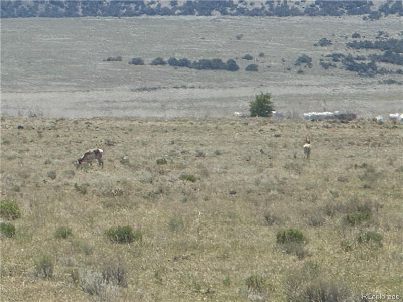 00 Vacant Land, La Jara, CO 81140