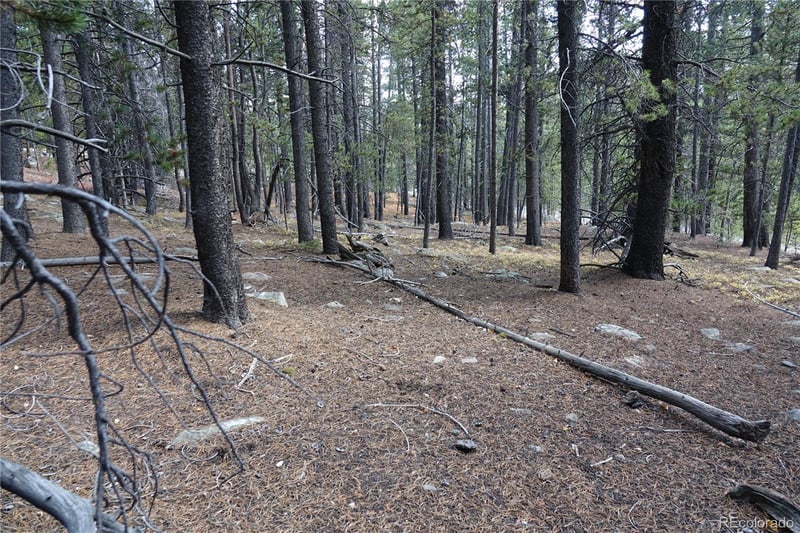 000 Loch Lomond Rd & Vista Rd, Idaho Springs, CO 80452