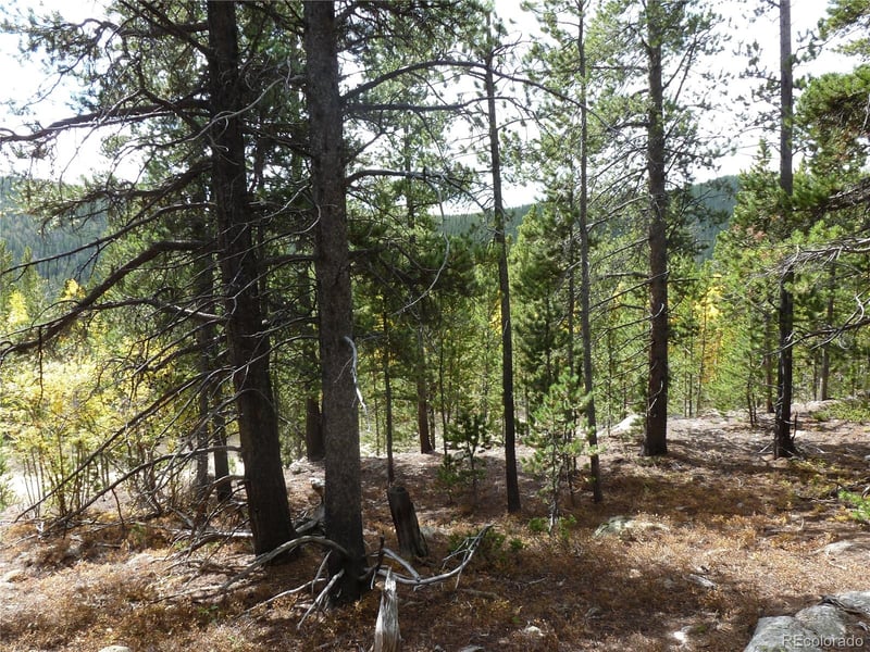 000 Loch Lomond Rd & Vista Rd, Idaho Springs, CO 80452