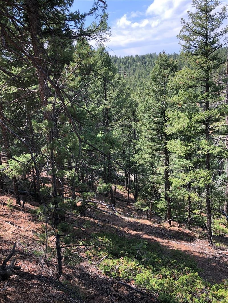 195 Osoeola Rd Lot L90 B18, Woodland Park, CO 80863