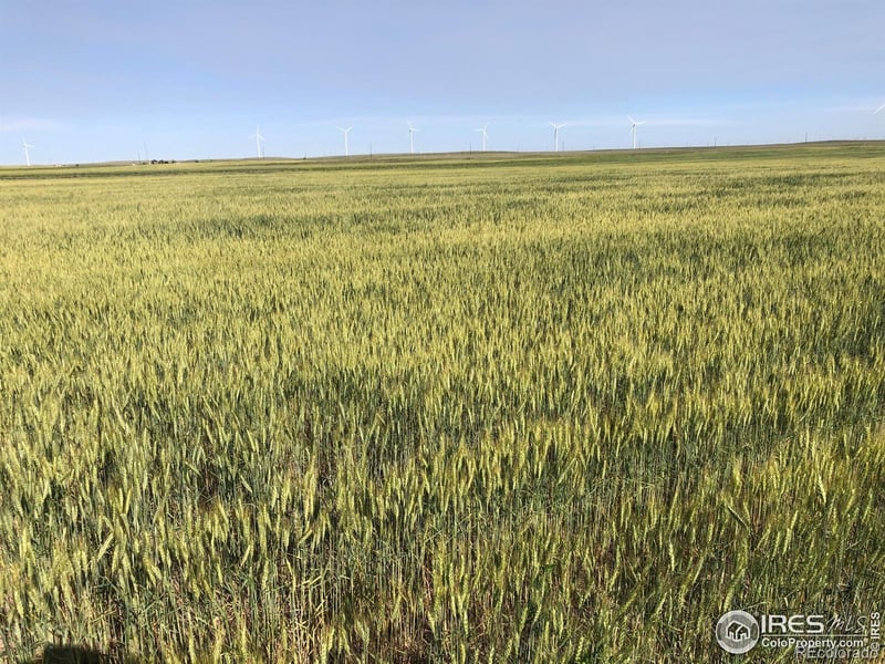 0 Wcr 105, Grover, CO 80729
