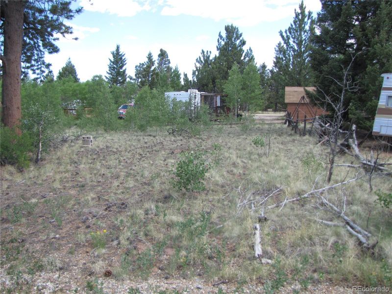 112 Lantern Loop, Hartsel, CO 80449