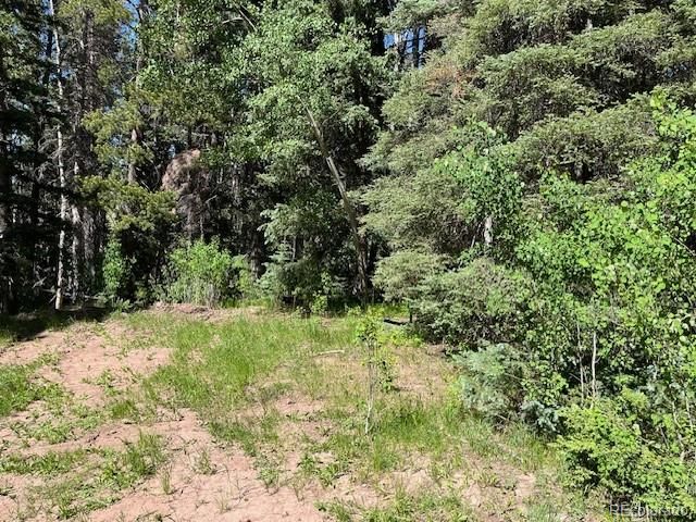 Lot 2893 Coder Pl, Fort Garland, CO 81133