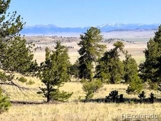 101 Maricopa Trl Lot 5851, Hartsel, CO 80449