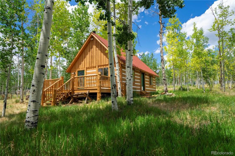 326 Canthook Ln, Fairplay, CO 80440