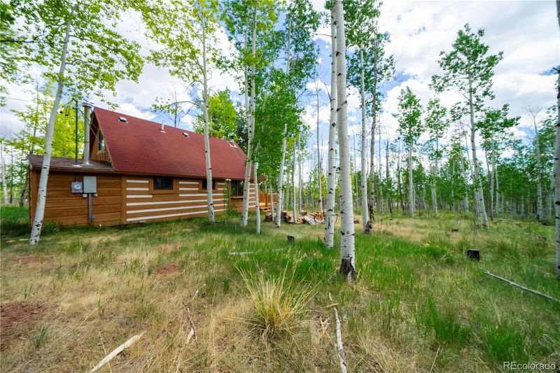 326 Canthook Ln, Fairplay, CO 80440