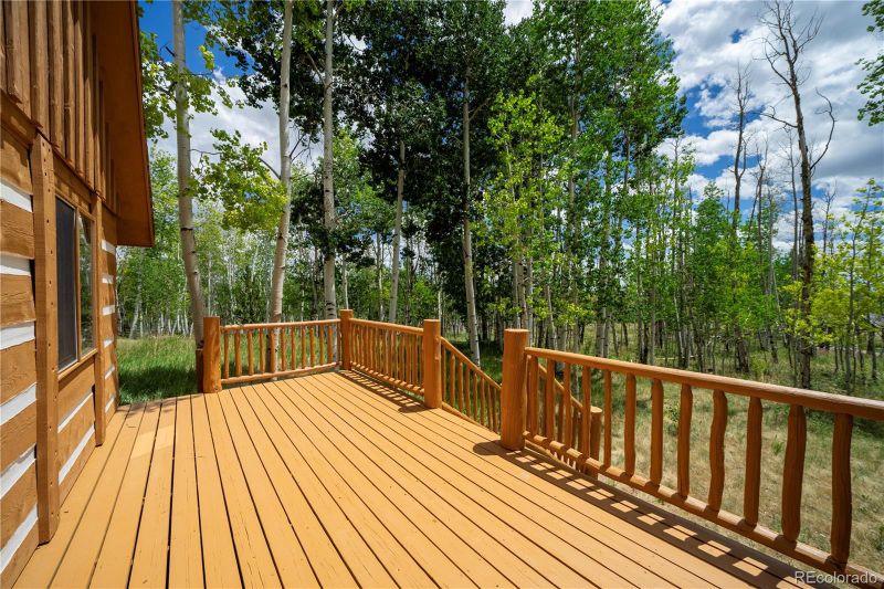 326 Canthook Ln, Fairplay, CO 80440