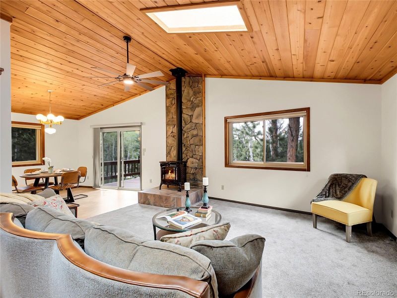 224 Yellow Pine Dr, Bailey, CO 80421
