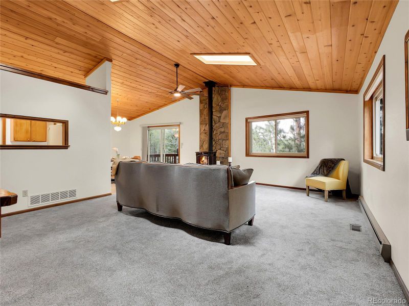 224 Yellow Pine Dr, Bailey, CO 80421