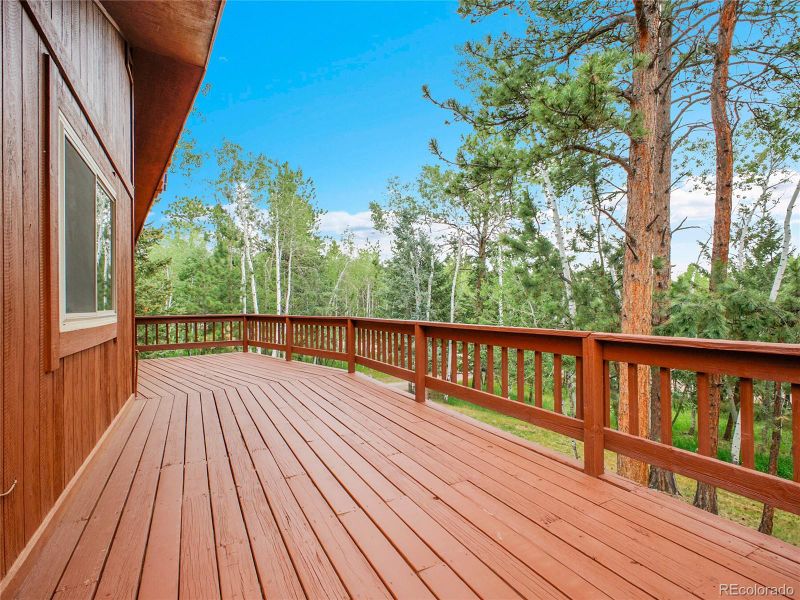 224 Yellow Pine Dr, Bailey, CO 80421