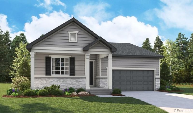 956 Steppe Ln, Windsor, CO 80550