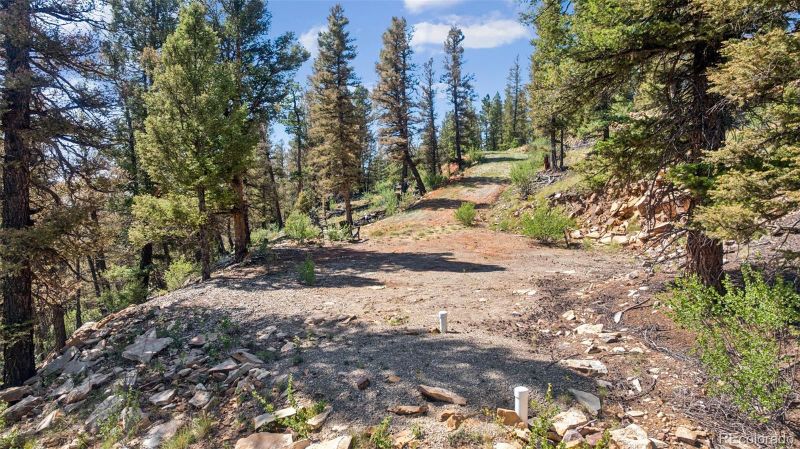 1050 Middle Fork Vi Lot 272, Fairplay, CO 80440