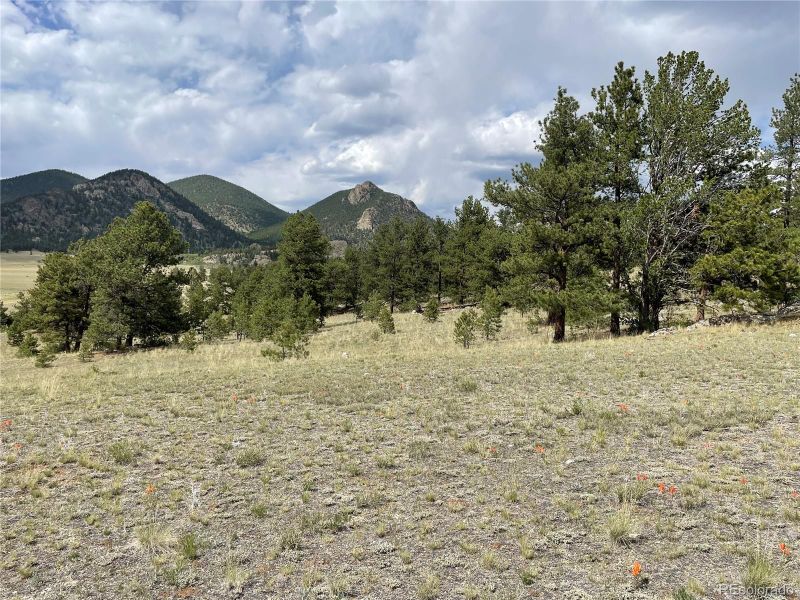 11809 Clear Creek Rd, Hartsel, CO 80449