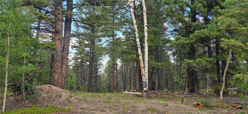 Lot 5778 Balleroy Rd, Fort Garland, CO 81133
